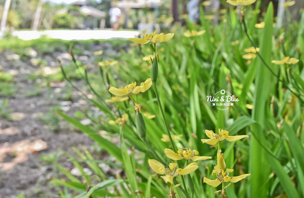 新竹17公里景點 港南運河公園 南寮09 新竹17公里景點 港南運河公園 南寮09