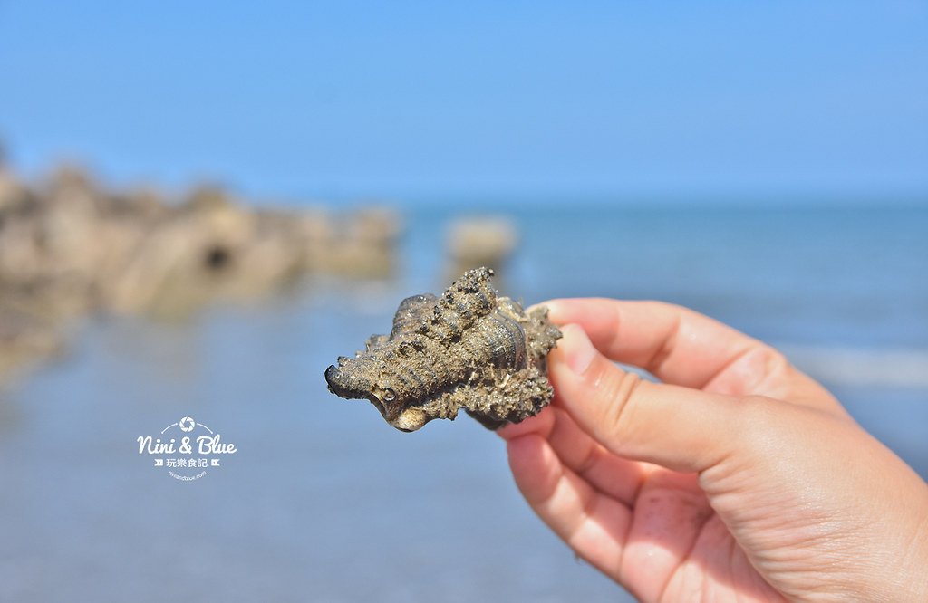 新竹17公里景點 海天一線看海公園15