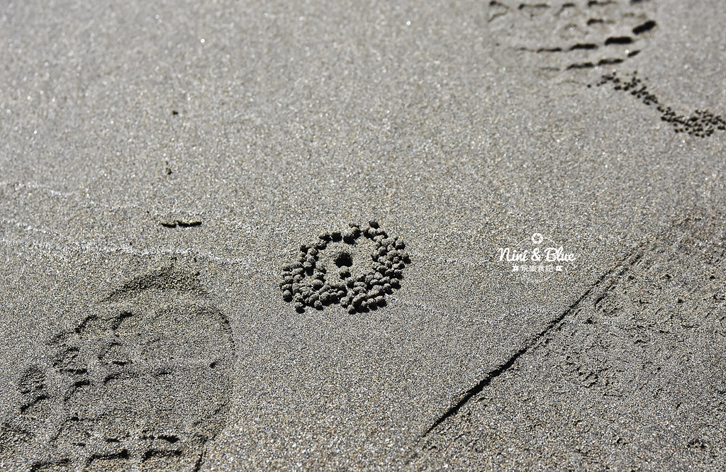 新竹17公里景點 海天一線看海公園14
