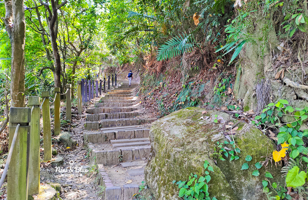 太平 咬人狗坑生態景觀步道 三汀山22