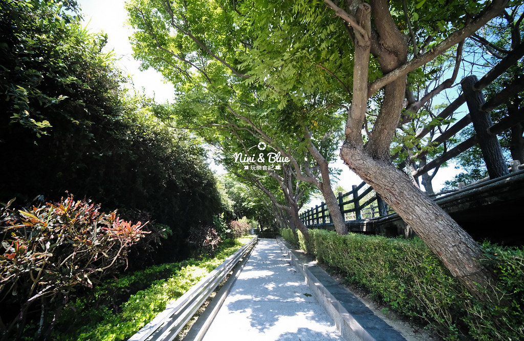 紅樹林生態公園 新竹景點 水筆仔24