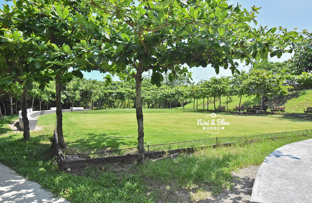 紅樹林生態公園 新竹景點 水筆仔13