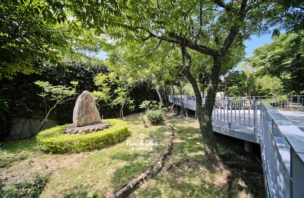 紅樹林生態公園 新竹景點 水筆仔25