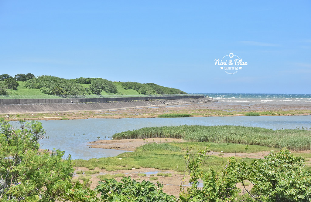 紅樹林生態公園 新竹景點 水筆仔06