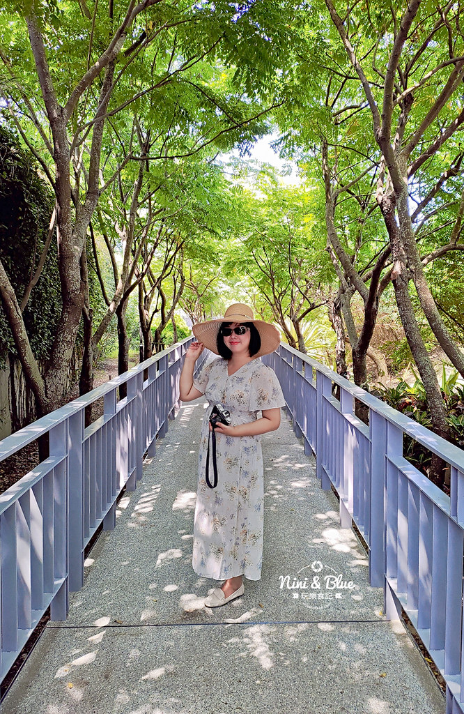 紅樹林生態公園 新竹景點 水筆仔29
