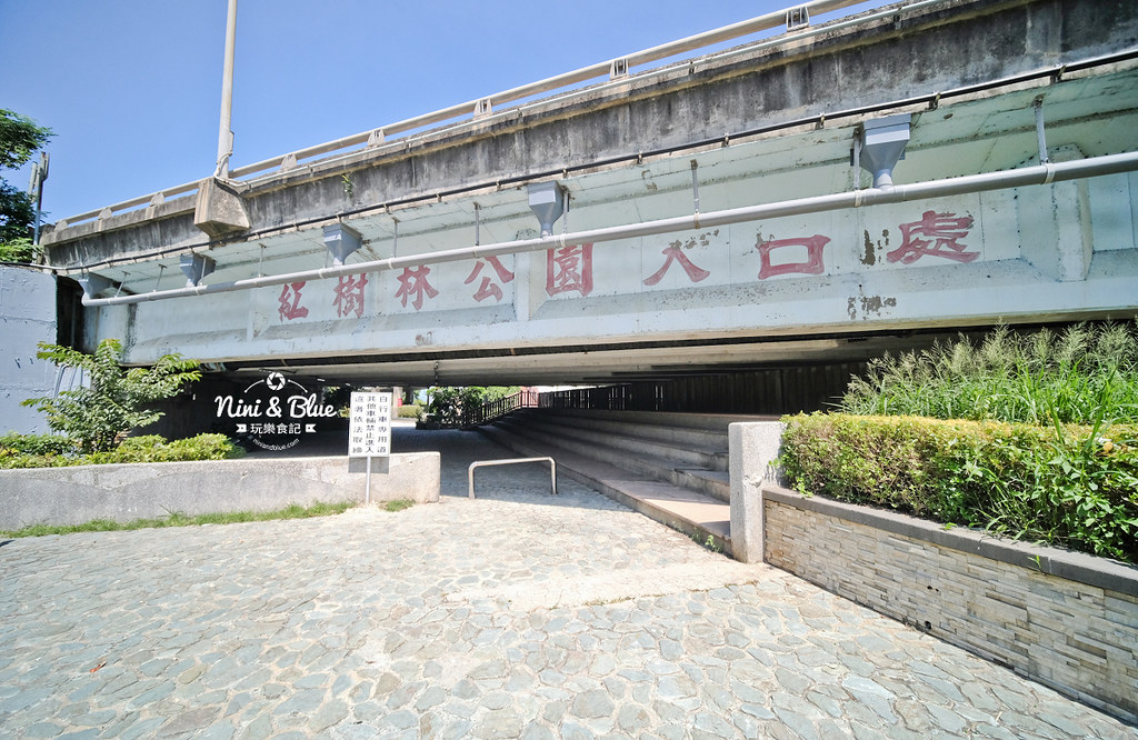 紅樹林生態公園 新竹景點 水筆仔23