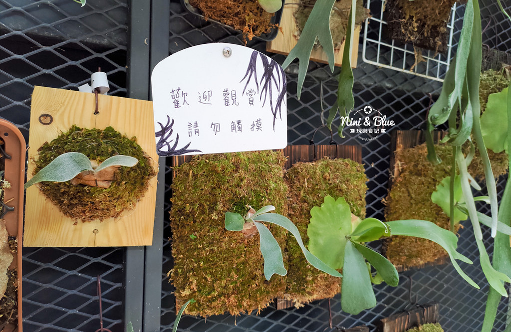 Fun Nice芳奈烘焙坊 台中麵包咖啡館15 Fun Nice芳奈烘焙坊 台中麵包咖啡館15