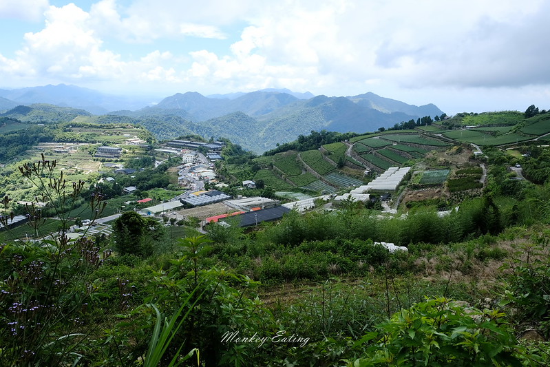 DSCF0573