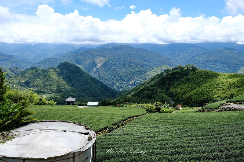 DSCF0547