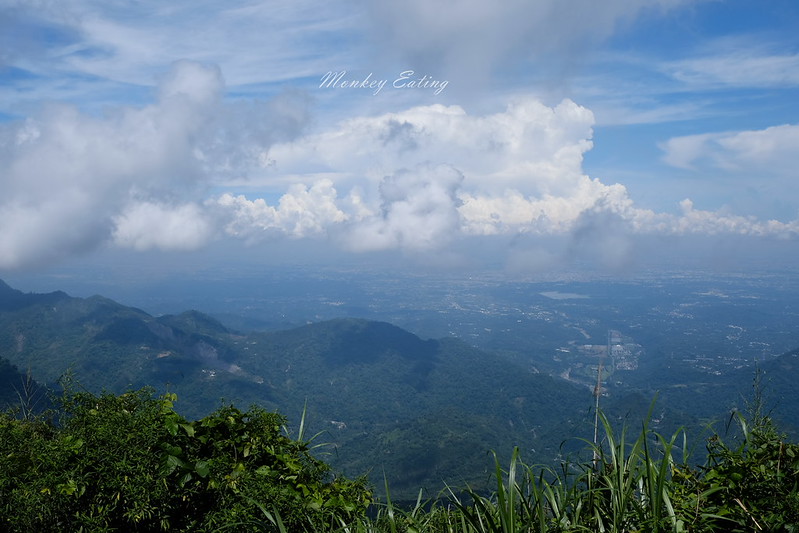 DSCF0407
