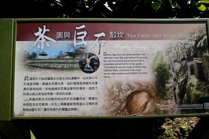 DSCF0270