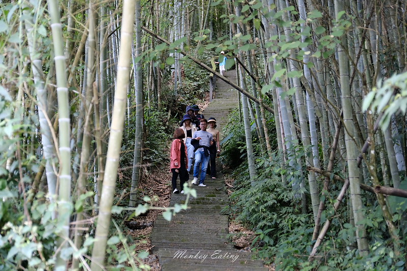 DSCF0531
