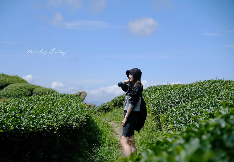 DSCF0387