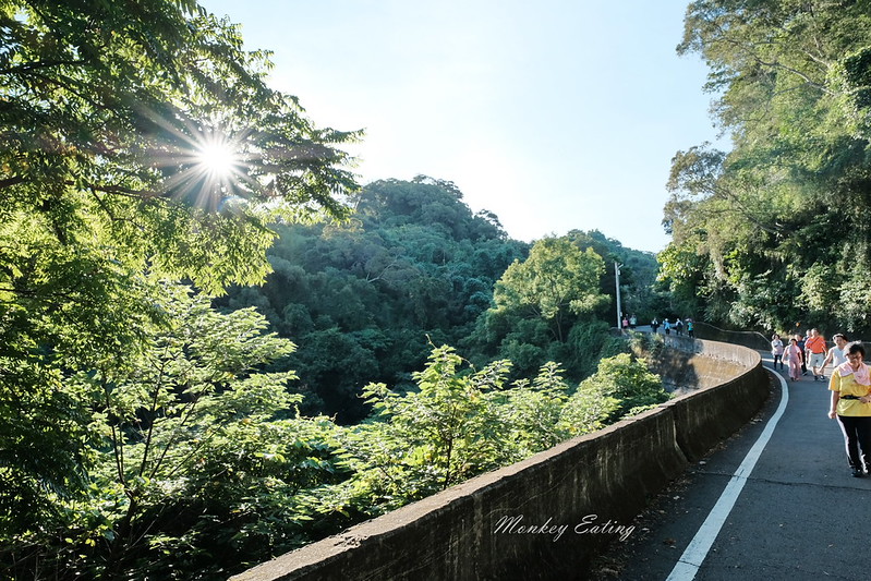 【公老坪-中坑巷步道】豐原人的後花園,中坑500高地欣賞漂亮風景,近豐原鎮清宮 @Nini and Blue 玩樂食記 DSCF1503