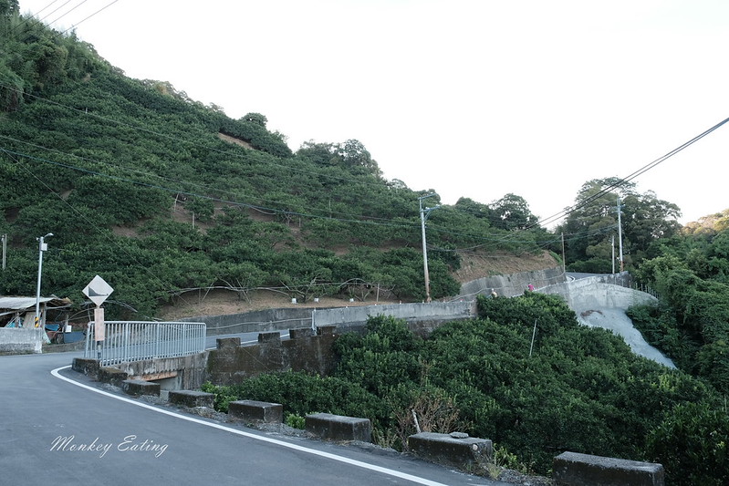 【公老坪-中坑巷步道】豐原人的後花園,中坑500高地欣賞漂亮風景,近豐原鎮清宮 @Nini and Blue 玩樂食記 DSCF1448