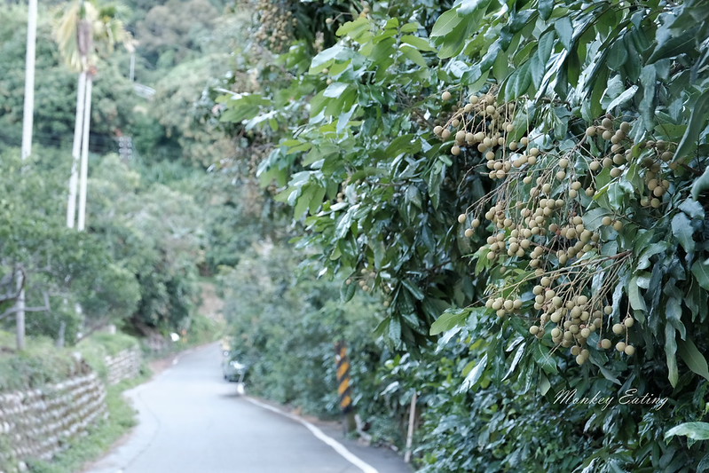 【公老坪-中坑巷步道】豐原人的後花園,中坑500高地欣賞漂亮風景,近豐原鎮清宮 @Nini and Blue 玩樂食記 DSCF1446