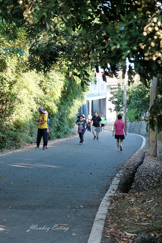 【公老坪-中坑巷步道】豐原人的後花園,中坑500高地欣賞漂亮風景,近豐原鎮清宮 @Nini and Blue 玩樂食記 DSCF1490