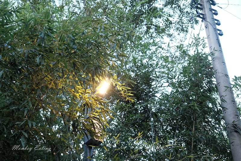 【公老坪-中坑巷步道】豐原人的後花園,中坑500高地欣賞漂亮風景,近豐原鎮清宮 @Nini and Blue 玩樂食記 DSCF1461