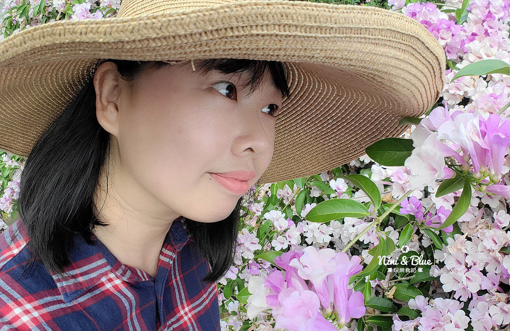 苗栗通霄蒜香藤花海景點10