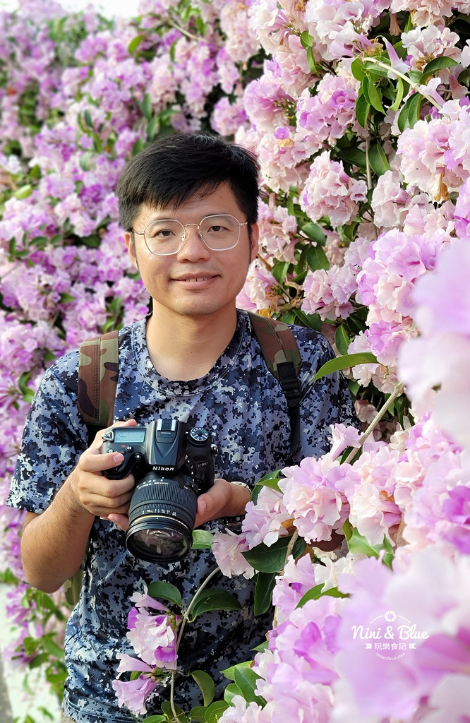 苗栗通霄蒜香藤花海景點11