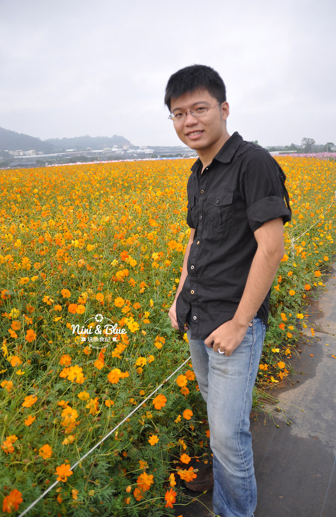 2020新社花海 花毯節接駁車資訊24 2020新社花海 花毯節接駁車資訊24