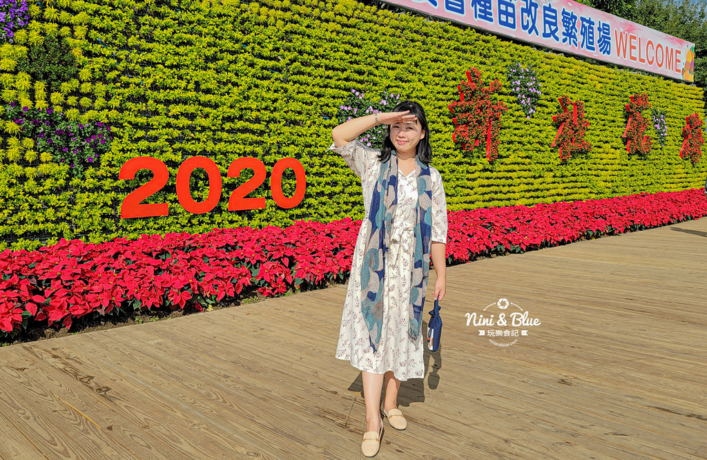 2020新社花海 花毯節接駁車資訊11 2020新社花海 花毯節接駁車資訊11