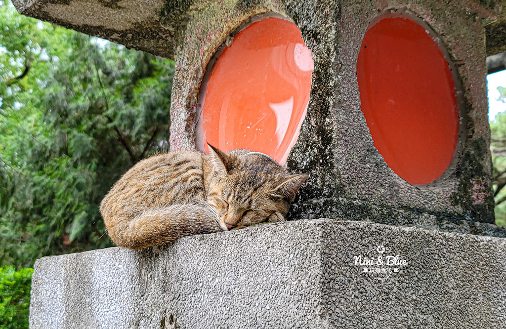 花蓮新城鄉天主堂景點美食14