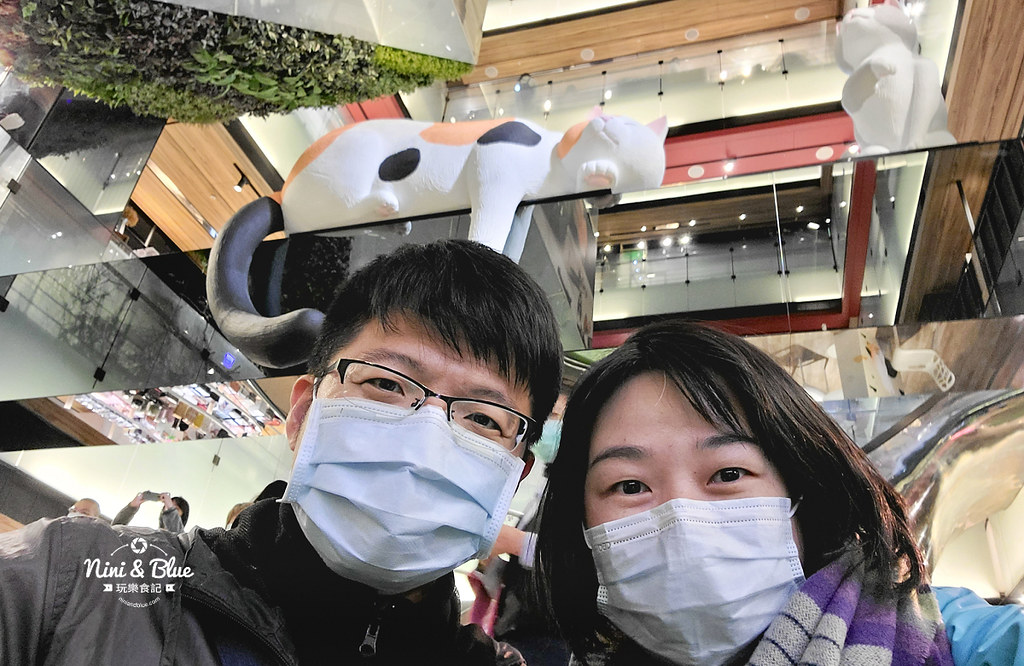 金典綠園道.遇見貓08