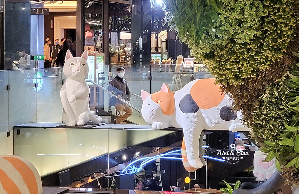 金典綠園道.遇見貓11