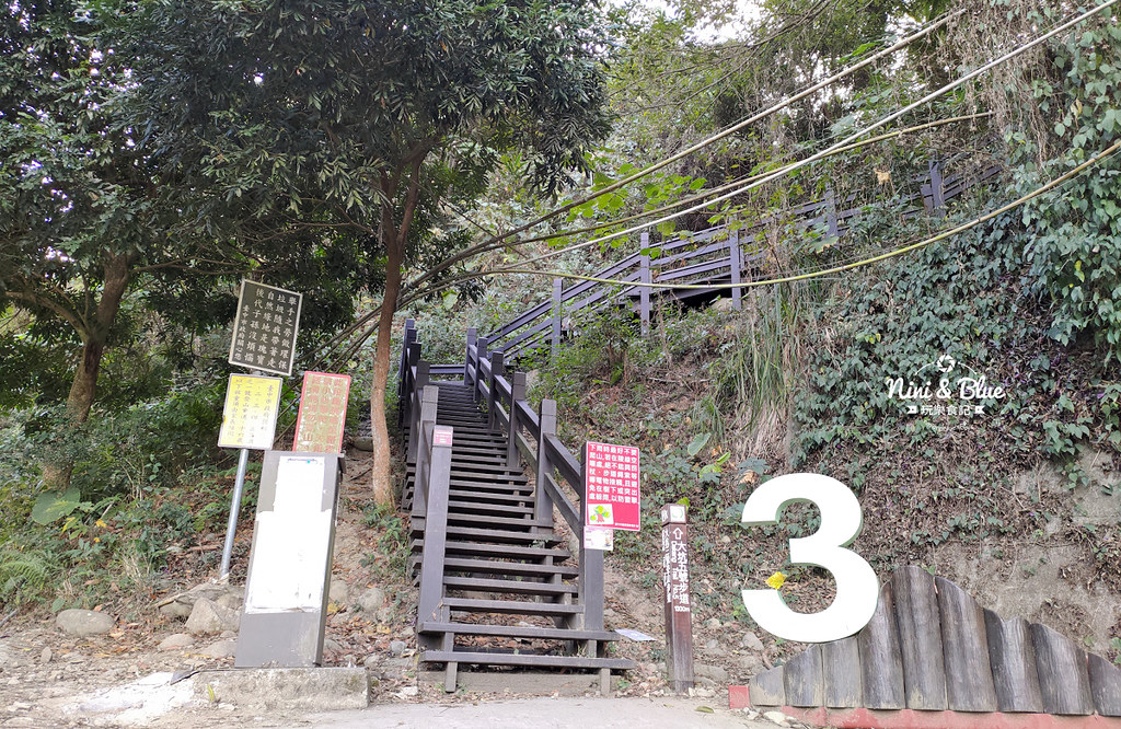 大坑3號步道.大坑步道24 大坑3號步道.大坑步道24