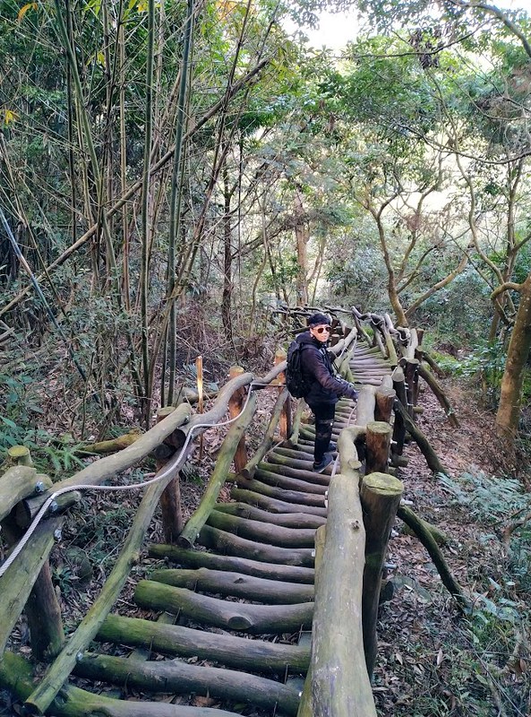 【大坑5-1號登山步道】連接5號登山步道,台中頭嵙山稜線縱走,欣賞新社美麗山景~ @Nini and Blue 玩樂食記 IMG_20210117_101052