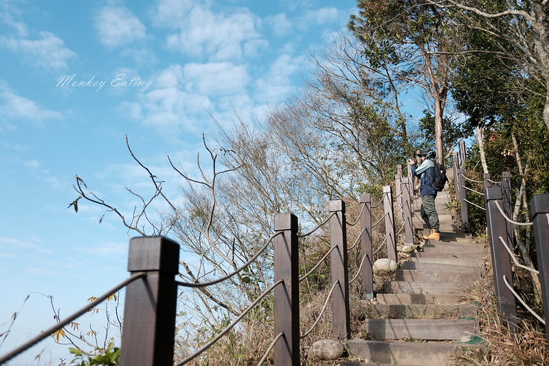 【大坑5號登山步道】台中高CP值仙境步道,挑戰山稜線縱走,登頭嵙山小百岳美景盡收眼底! @Nini and Blue 玩樂食記 DSCF8742