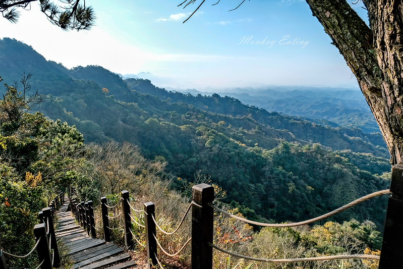 【大坑5號登山步道】台中高CP值仙境步道,挑戰山稜線縱走,登頭嵙山小百岳美景盡收眼底! @Nini and Blue 玩樂食記 DSCF8736
