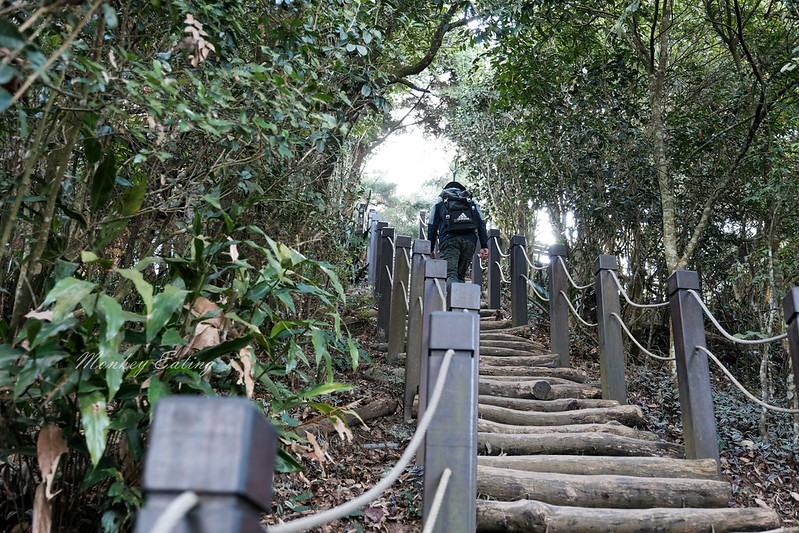 【大坑5號登山步道】台中高CP值仙境步道,挑戰山稜線縱走,登頭嵙山小百岳美景盡收眼底! @Nini and Blue 玩樂食記 DSCF8721