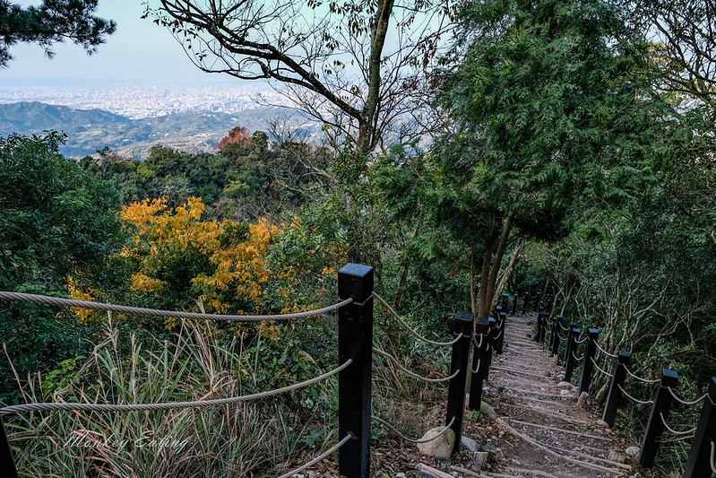 【大坑5號登山步道】台中高CP值仙境步道,挑戰山稜線縱走,登頭嵙山小百岳美景盡收眼底! @Nini and Blue 玩樂食記 DSCF8704
