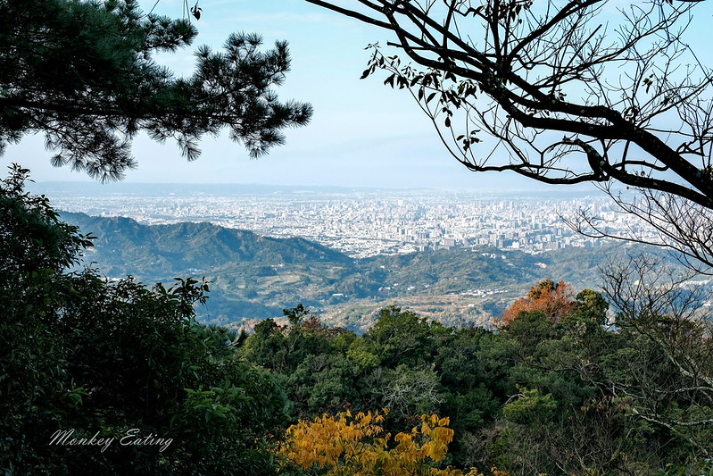 【大坑5號登山步道】台中高CP值仙境步道,挑戰山稜線縱走,登頭嵙山小百岳美景盡收眼底! @Nini and Blue 玩樂食記 DSCF8701