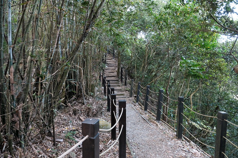 【大坑5號登山步道】台中高CP值仙境步道,挑戰山稜線縱走,登頭嵙山小百岳美景盡收眼底! @Nini and Blue 玩樂食記 DSCF8696