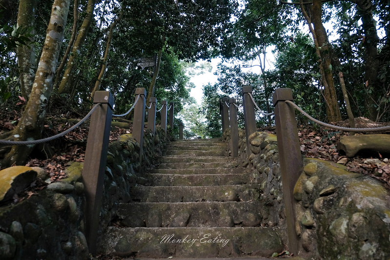 【大坑5號登山步道】台中高CP值仙境步道,挑戰山稜線縱走,登頭嵙山小百岳美景盡收眼底! @Nini and Blue 玩樂食記 DSCF8684