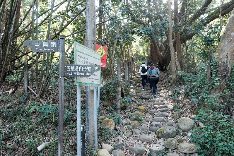 【大坑5號登山步道】台中高CP值仙境步道,挑戰山稜線縱走,登頭嵙山小百岳美景盡收眼底! @Nini and Blue 玩樂食記 DSCF8786