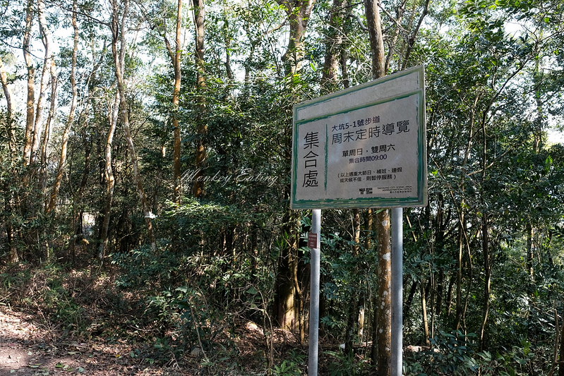 【大坑5-1號登山步道】連接5號登山步道,台中頭嵙山稜線縱走,欣賞新社美麗山景~ @Nini and Blue 玩樂食記 DSCF8781