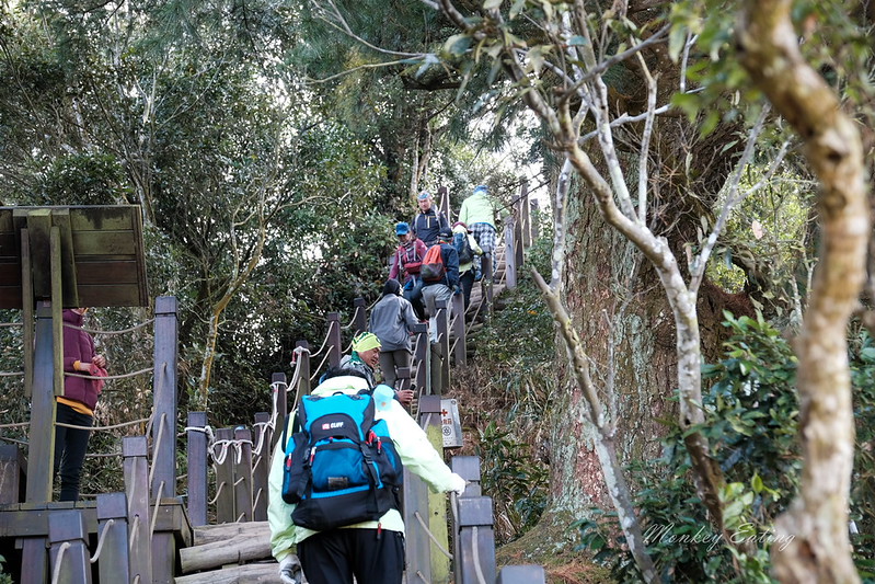 【大坑5號登山步道】台中高CP值仙境步道,挑戰山稜線縱走,登頭嵙山小百岳美景盡收眼底! @Nini and Blue 玩樂食記 DSCF8755