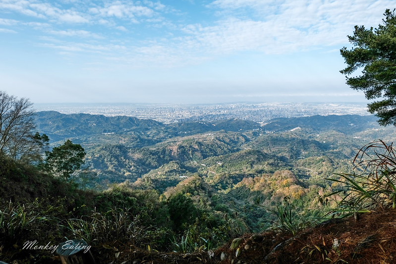 【大坑5號登山步道】台中高CP值仙境步道,挑戰山稜線縱走,登頭嵙山小百岳美景盡收眼底! @Nini and Blue 玩樂食記 DSCF8730