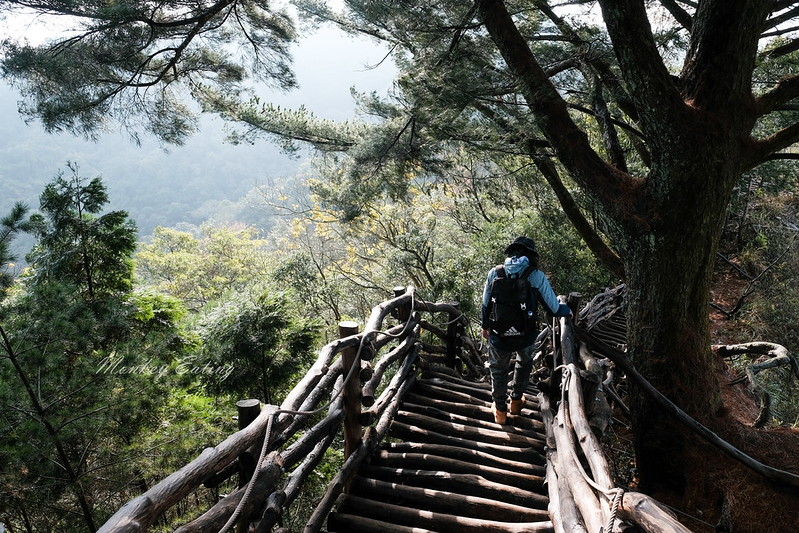 【大坑5號登山步道】台中高CP值仙境步道,挑戰山稜線縱走,登頭嵙山小百岳美景盡收眼底! @Nini and Blue 玩樂食記 DSCF8725