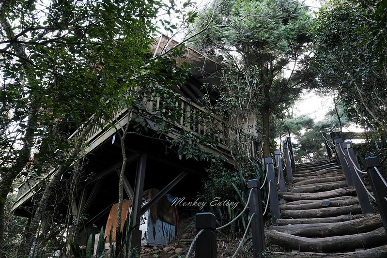 【大坑5號登山步道】台中高CP值仙境步道,挑戰山稜線縱走,登頭嵙山小百岳美景盡收眼底! @Nini and Blue 玩樂食記 DSCF8722
