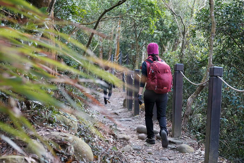 【大坑5號登山步道】台中高CP值仙境步道,挑戰山稜線縱走,登頭嵙山小百岳美景盡收眼底! @Nini and Blue 玩樂食記 DSCF8714
