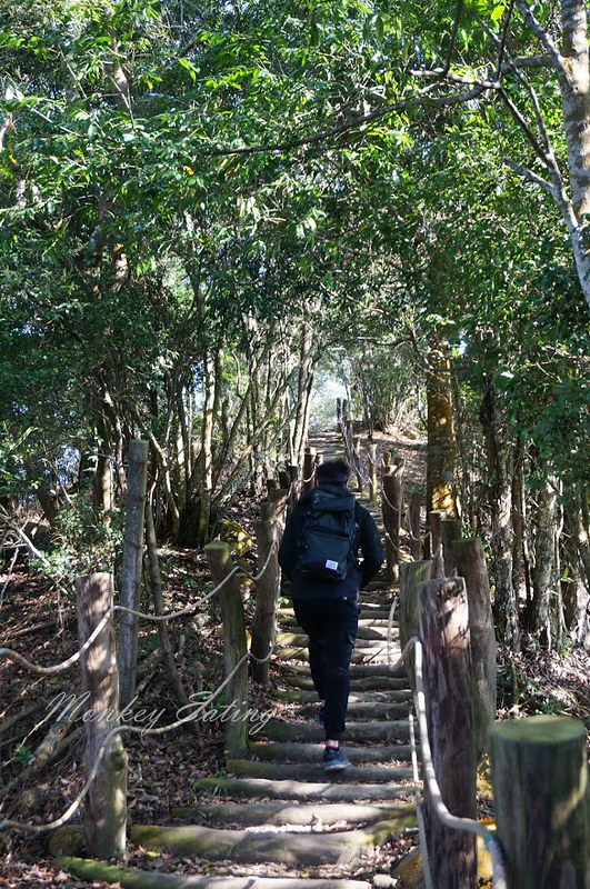 【大坑5-1號登山步道】連接5號登山步道,台中頭嵙山稜線縱走,欣賞新社美麗山景~ @Nini and Blue 玩樂食記 DSC03400