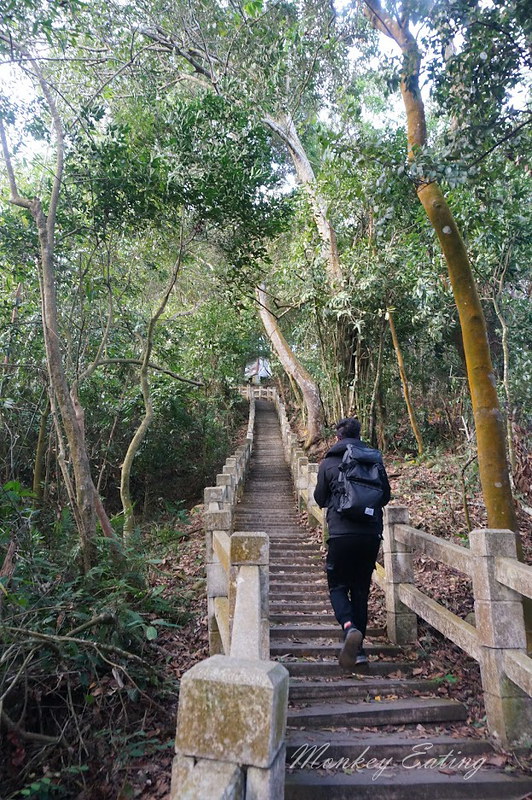 【大坑5號登山步道】台中高CP值仙境步道,挑戰山稜線縱走,登頭嵙山小百岳美景盡收眼底! @Nini and Blue 玩樂食記 DSC03293