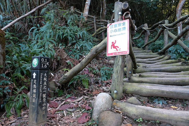 【大坑5-1號登山步道】連接5號登山步道,台中頭嵙山稜線縱走,欣賞新社美麗山景~ @Nini and Blue 玩樂食記 DSCF8784