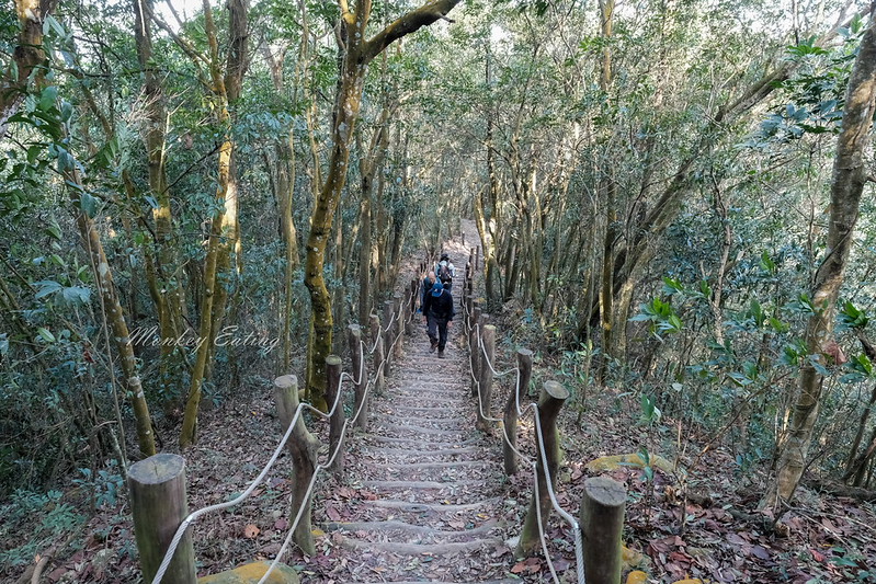【大坑5-1號登山步道】連接5號登山步道,台中頭嵙山稜線縱走,欣賞新社美麗山景~ @Nini and Blue 玩樂食記 DSCF8777