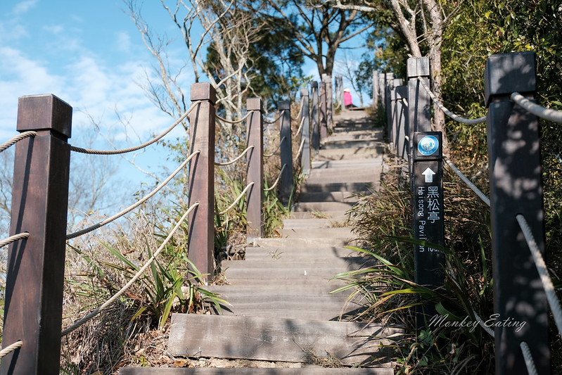 【大坑5號登山步道】台中高CP值仙境步道,挑戰山稜線縱走,登頭嵙山小百岳美景盡收眼底! @Nini and Blue 玩樂食記 DSCF8765